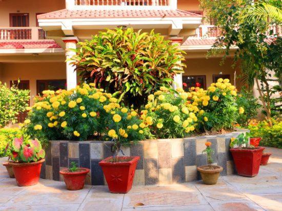 Hotel Royal Safari Chitwan Exterior foto