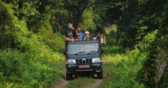 Hotel Royal Safari Chitwan Exterior foto